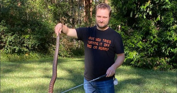 How a Goulburn snake catcher entices his captives