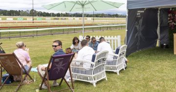 Thoroughbred Park doubles down on plans to showcase Canberra’s finest creators