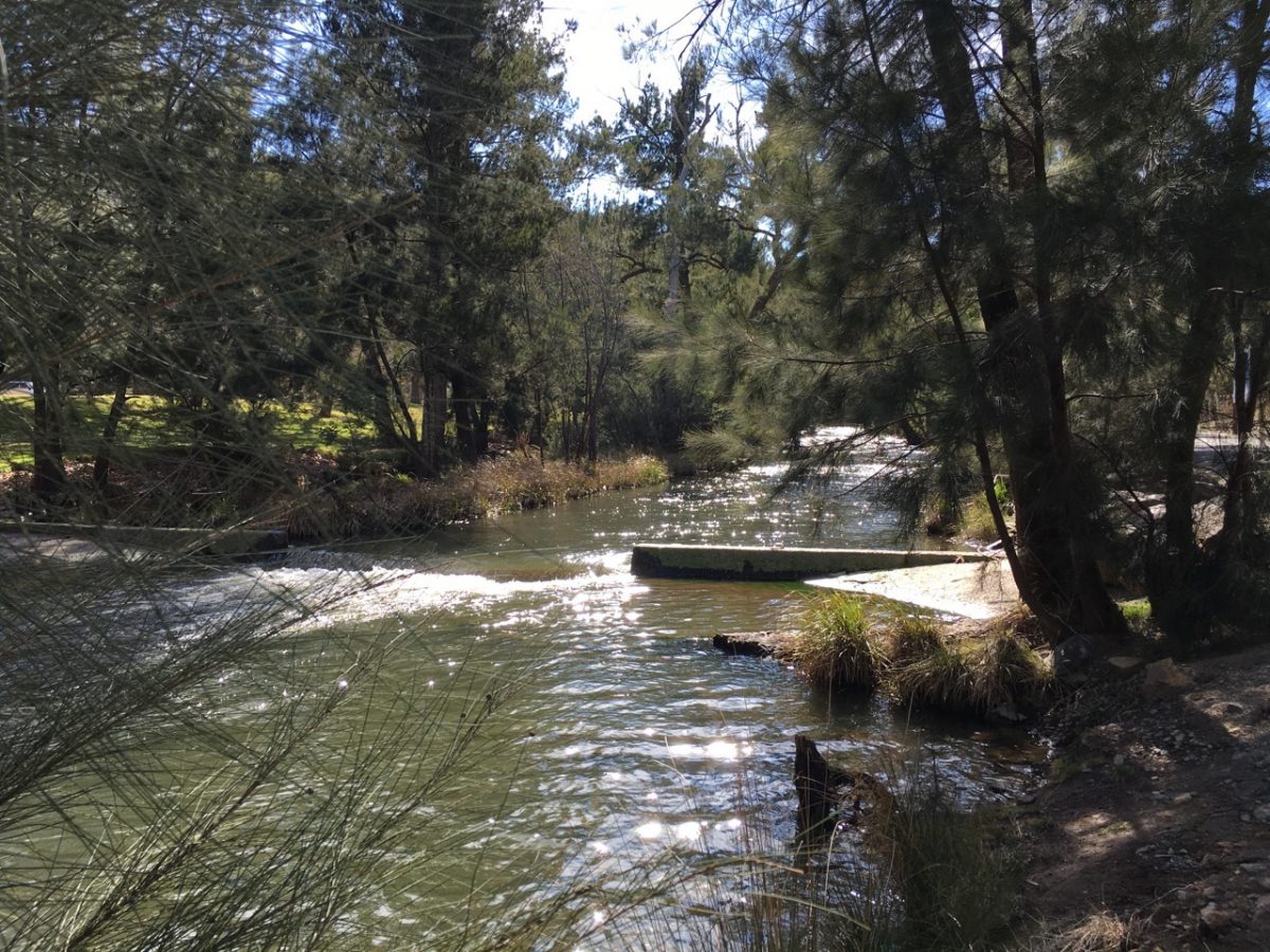 The Murrumbidgee River Corridor