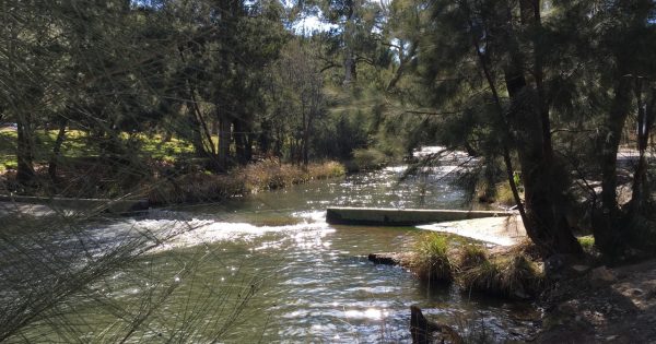 Beat the heat in the capital's natural swimming areas