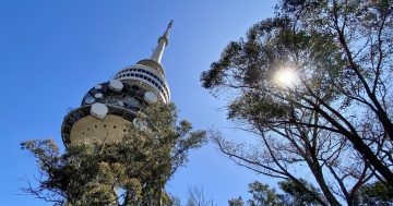 Canberra's iconic Telstra Tower set to reopen - but we'll have to hang on a little longer