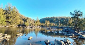 Four drowning deaths prompt urgent call for better safety measures at ACT swimming spots