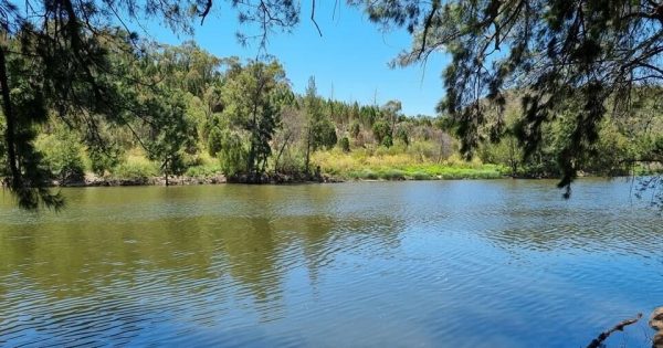 Visiting student dies after falling from raft at Casuarina Sands