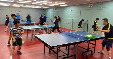 'Phenomenal' growth of table tennis stretches Canberra facilities to the limit