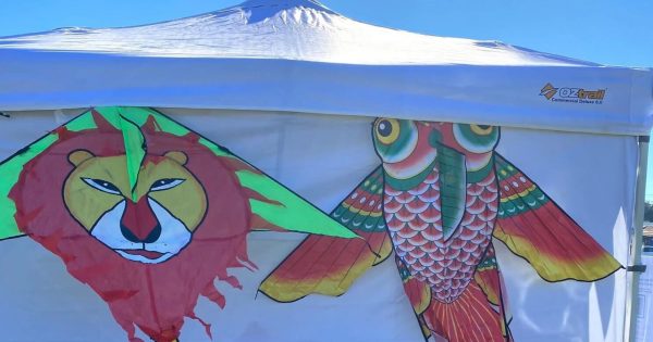 More rides, more kites, and more fun to hit Canberra this January as annual festival returns