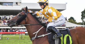 'Racing royalty' to launch Black Opal Stakes 50th anniversary celebrations