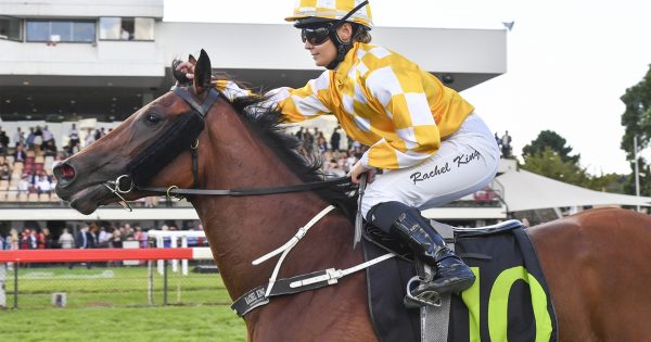 'Racing royalty' to launch Black Opal Stakes 50th anniversary celebrations