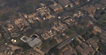 New app launched to determine and improve your home's bushfire resilience