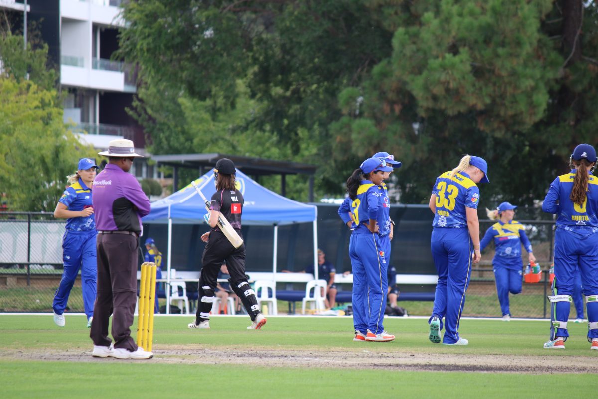 ACT Meteors on the cricket pitch