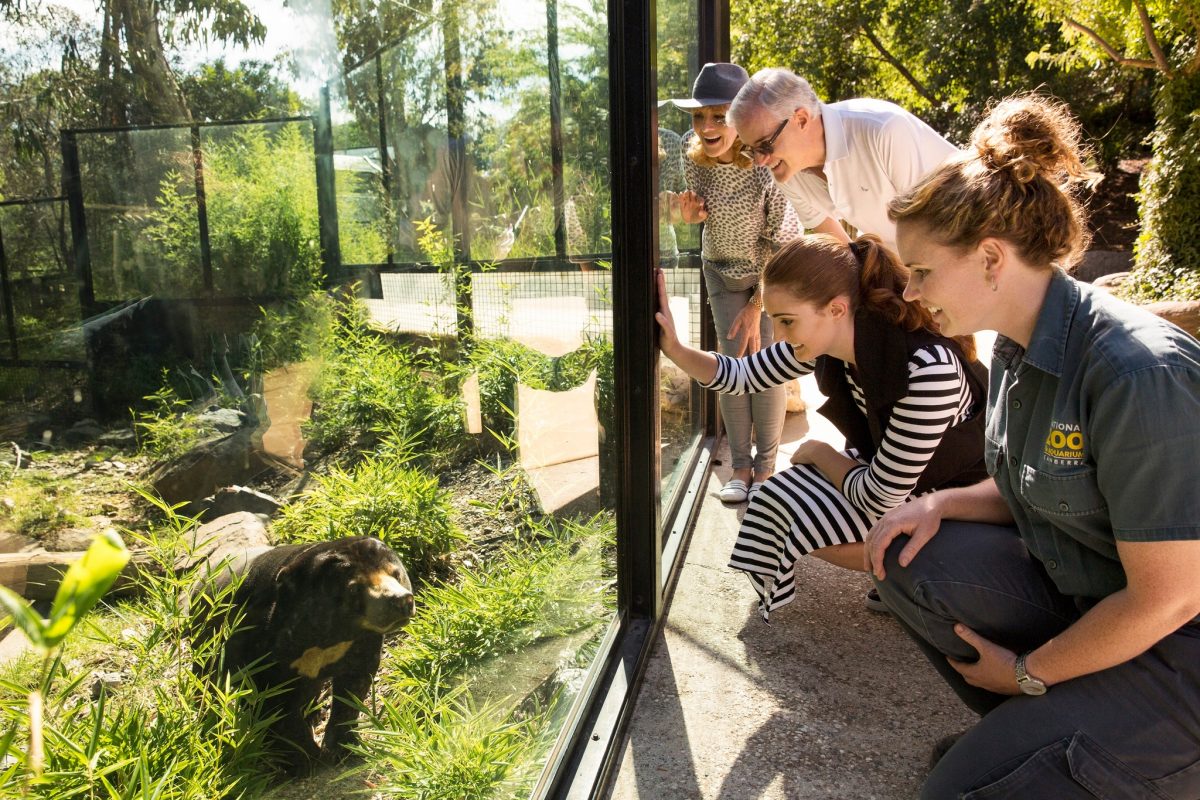 people looking at bear at zoo