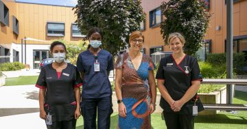More than 300 new recruits join Canberra's healthcare workforce but 'chronic shortage' remains