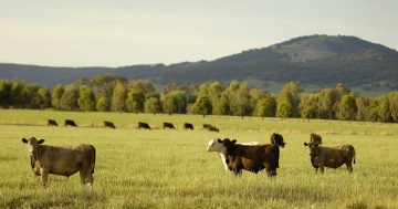 Game-changing agriculture industry technology set to launch in Yass next month