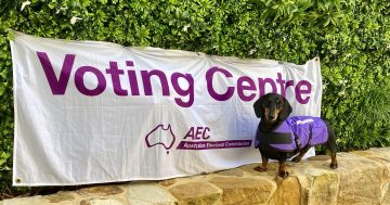 AEC ramps up its education campaign for the Voice referendum