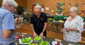 Iconic Goulburn cyclist dies in weekend collision