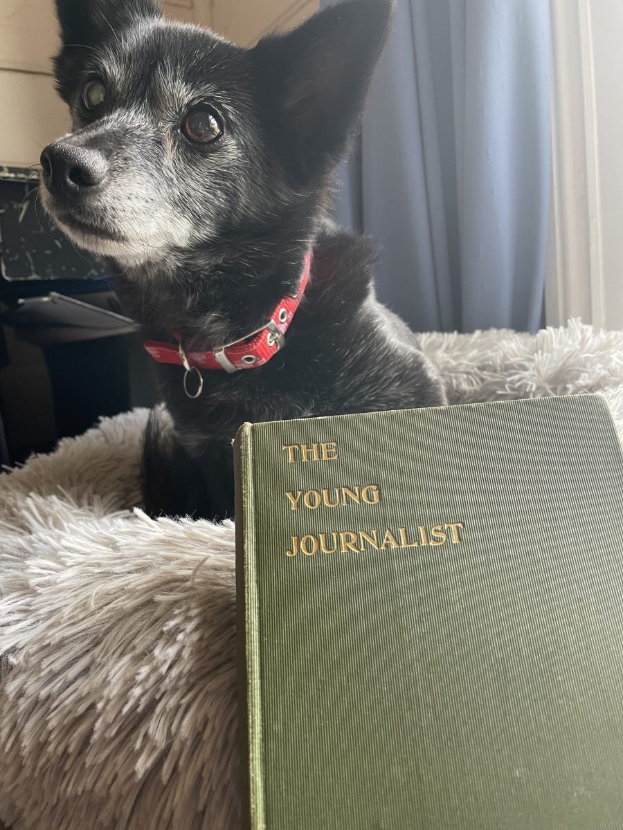 Dog with book