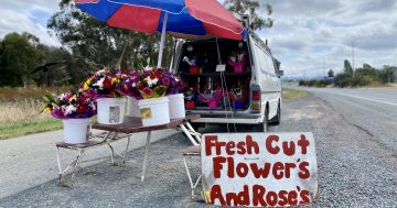 Budding romance? (Or in the bad books?) You need Cotter Road's man in the van