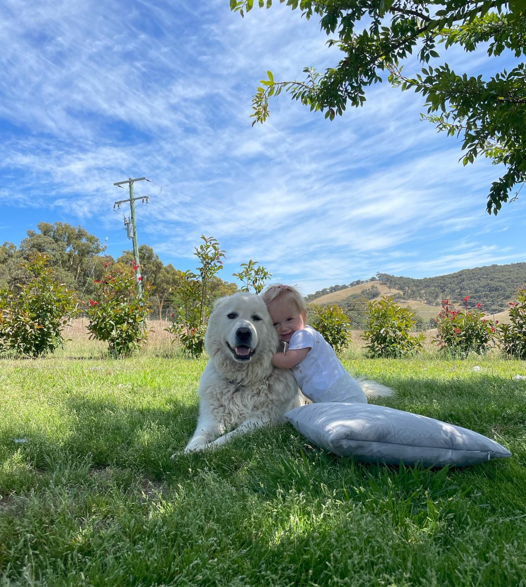 Dog with little girl