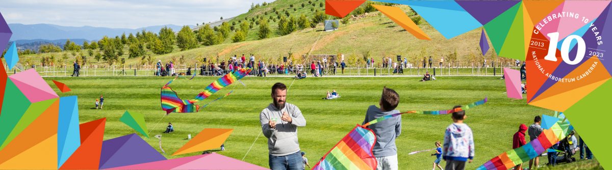 Kite Fest at the Arboretum