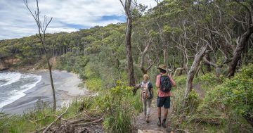 Fancy a stroll this summer? Stunning walks abound in South Coast national parks