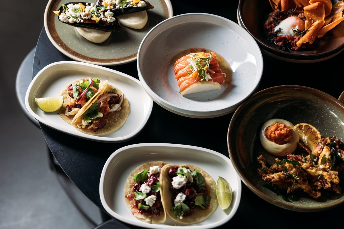 beautifully plated dishes on a table