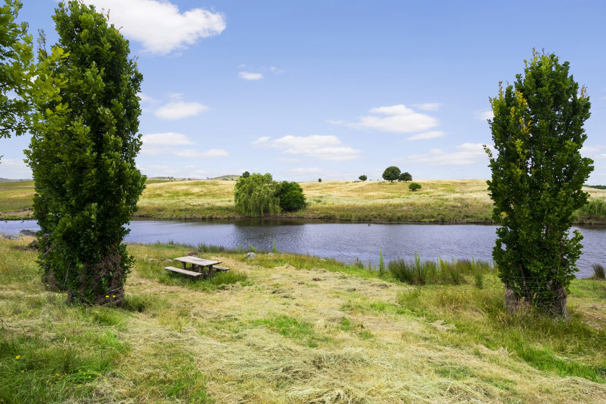 picnic setting next to a river