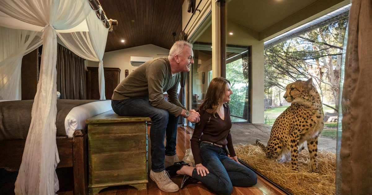 Canberra’s Jamala Wildlife Lodge officially Australia’s best ‘Unique Accommodation’