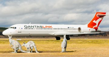 Canberra cancellations again blight air travel as fares soar after Rex exit