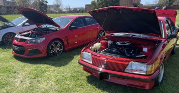 Meet the owner of Canberra's biggest HSV collection (sorry, they're not for sale)