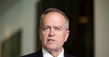 Shorten calls for investigation following Watt Review into previous Govt Services Australia and NDIA contracts