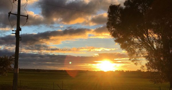 Ag ministers call on Dutton to explain nuclear energy plan's potential impact on farming