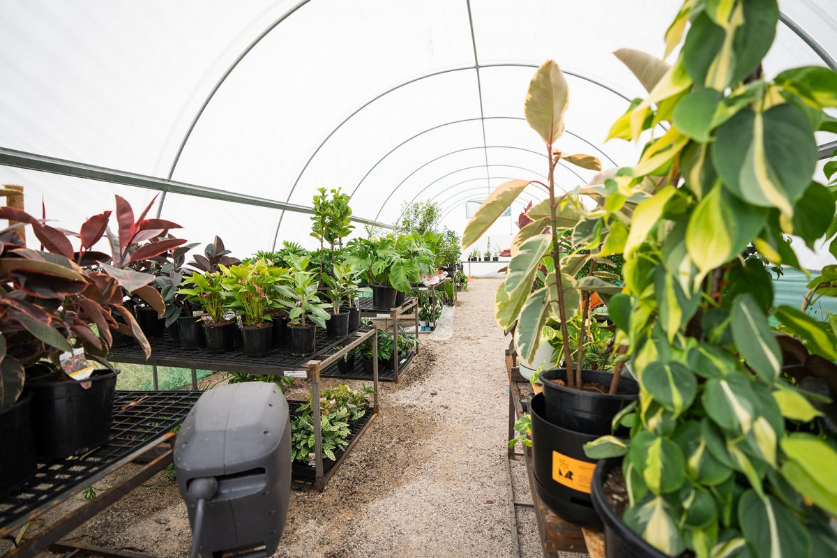 housemates greenhouse