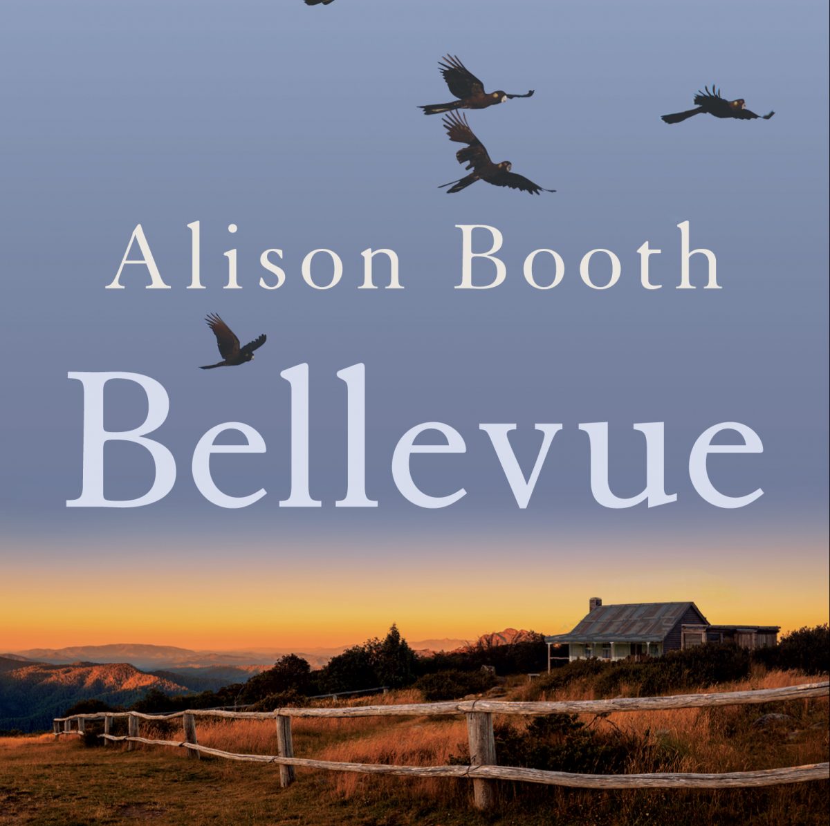 Bellevue book cover
