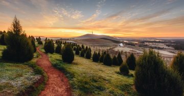 Twenty years on, the National Arboretum is growing from strength to strength thanks to its dedicated volunteers