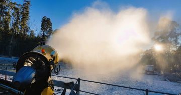 Winter comes early as Corin Forest turns on the snow makers