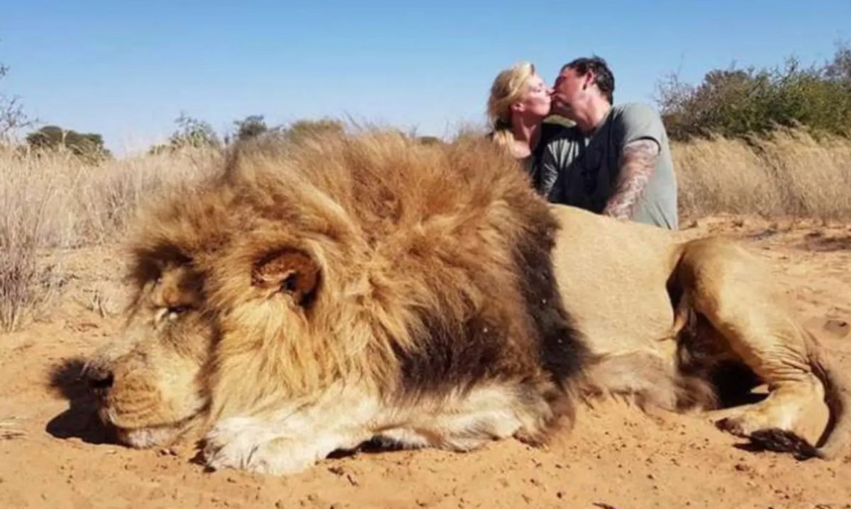 man and wife with dead lion