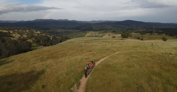 Looking to level up your hike? Take the Ginninderry Tracks audio tour with you