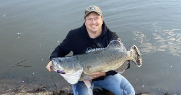 Record-breaking fish a highlight for Canberra on the Water fishing competition