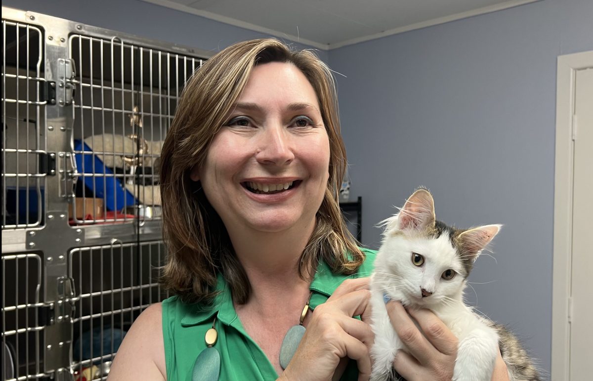 woman holding cat