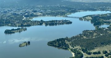 What would it take to clean up Lake Burley Griffin? We ask the experts