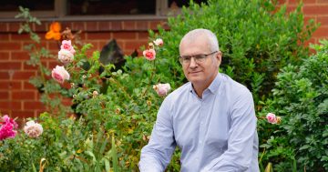 Can we learn from the coast? The future of Canberra's food security is on the table