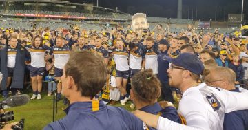 The Brumbies could cop a mauling from Rugby Australia's new centralised model