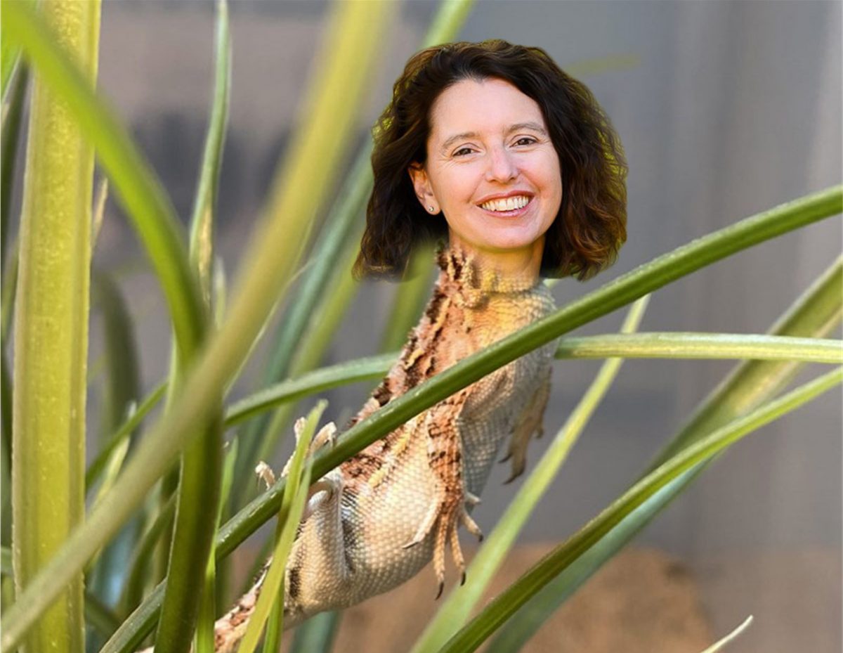 Rebecca Vassarotti as a Canberra Grassland Earless Dragon