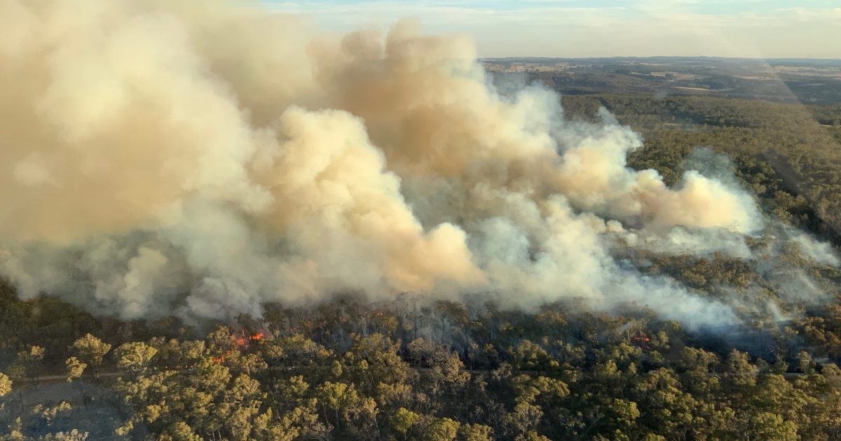 Conditions Ease For Nswrfs Crews Battling Craigs Rd Fire Near 