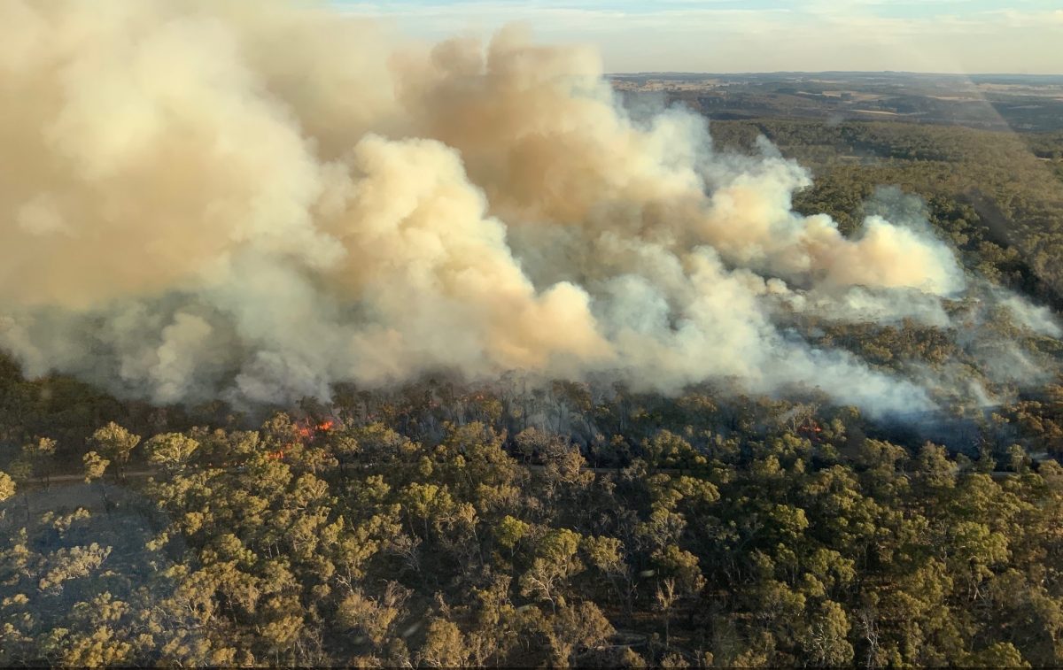 smoke coming from the fire near Curraweela