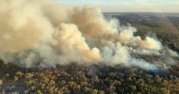 Conditions ease for NSWRFS crews battling Craigs Rd Fire near Curraweela