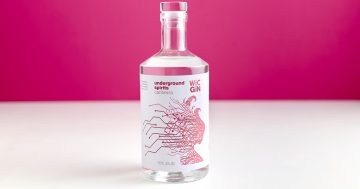 That's the spirit! New gin collaboration celebrates women in STEM