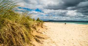 Elderly man drowns at South Coast beach