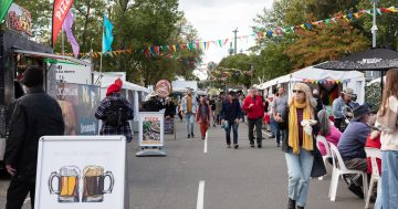 Folk Festival reclaims its soul, and that's good for Canberra