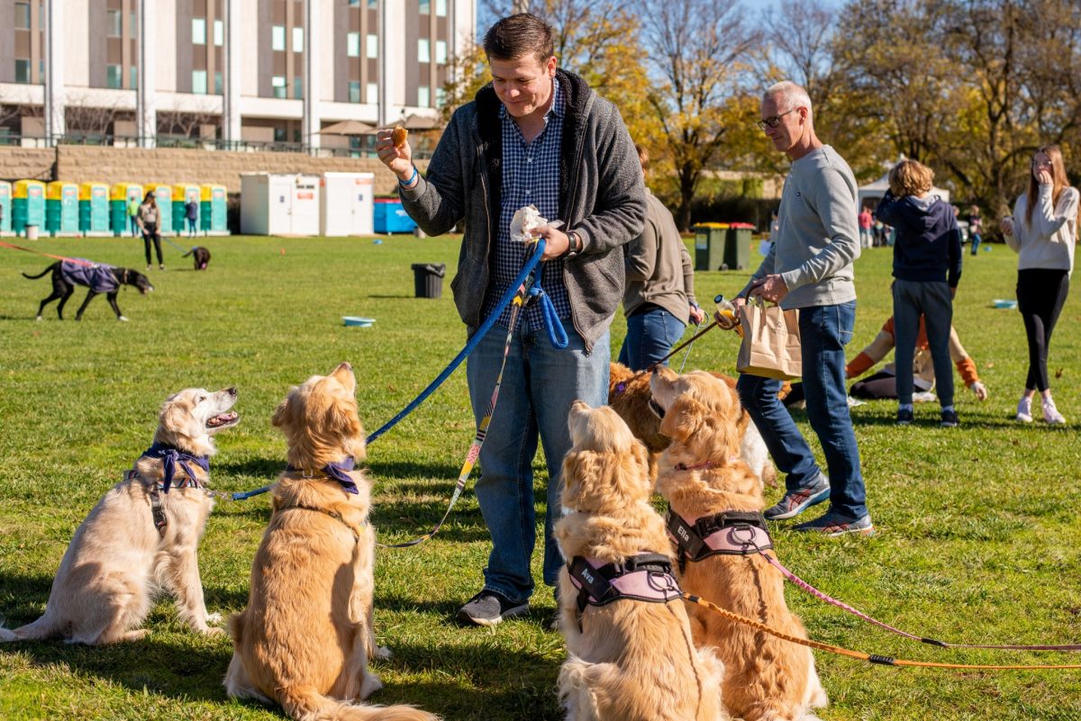 four golden retrievers sitting for treats at 2022 million paws walk