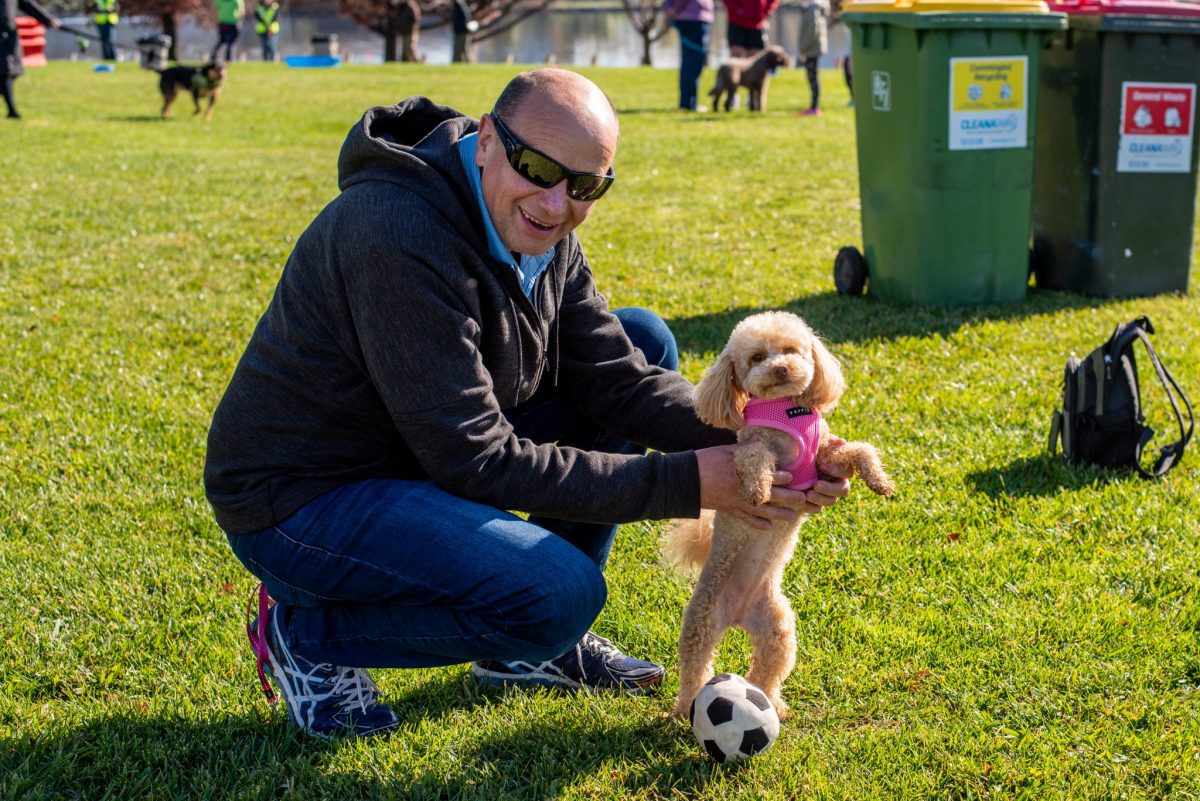 man playing with a cute dog